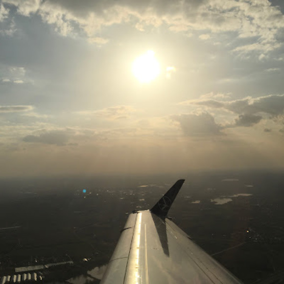 Meet your Posher, Sara - Picture 1 of 1